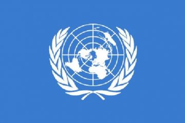 flag-united-nations-un-thumb-large